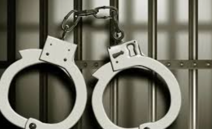 Delhi Resident Arrested in Calangute With Meth Worth ₹11.58 Lakh 1 Screenshot 2025 12 10 114421