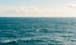 Fishing Boat With Four Fishermen Missing Off Talpona Coast; Search Operations Intensified 1 Screenshot 2025 12 16 130605