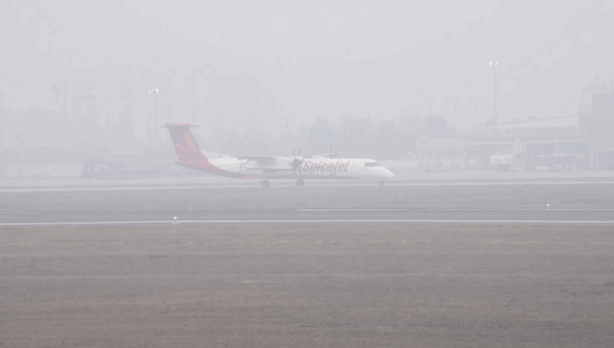 Dense Fog Grounds Flights at Delhi Airport; 131 Services Cancelled Amid Low Visibility 1 Screenshot 2025 12 17 092323
