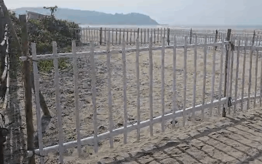Second Sea Turtle Nesting Recorded at Morjim Beach This Season; 135 Eggs Laid at Temwada 1 Screenshot 2025 12 30 150321