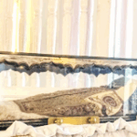 The Urn containing sacred relics of Saint Francis Xavier
