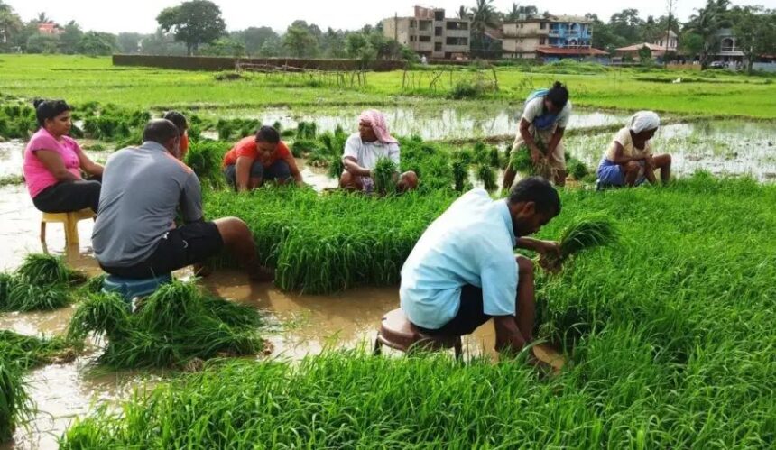 Community farming to come under Zilla Panchayats in Goa 1 WhatsApp Image 2023 04 03 at 11.32.02 AM