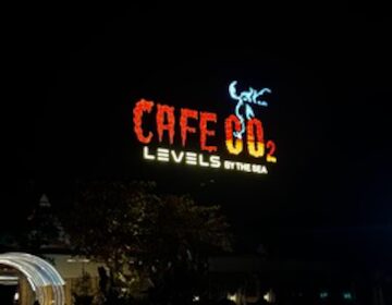 cafe co2 anjuna goa coffee shops amlcoye5qg 250