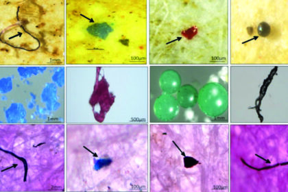 microplastics