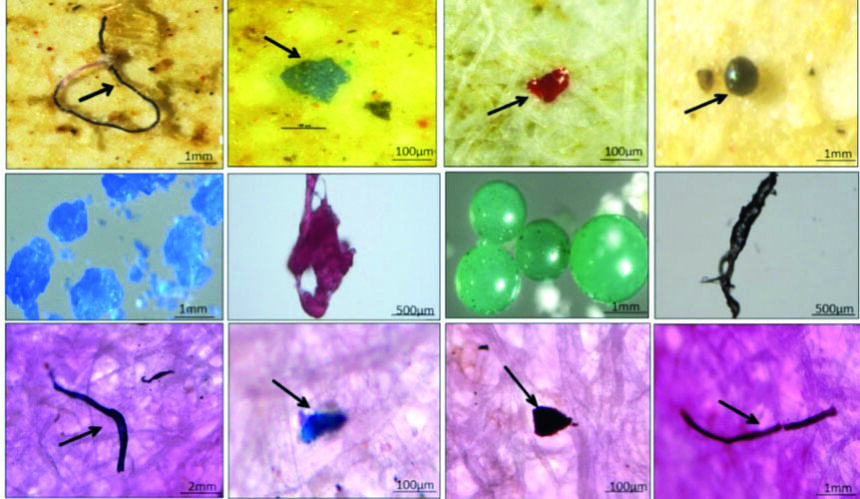 NIO study finds microplastics in urban wastewater 1 microplastics