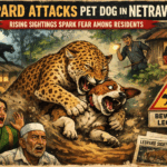 20260105 1447 Leopard Encounter in Netravali simple compose 01ke6q3v7meh187er37rvxbp8q