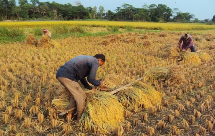 India Overtakes China to Become World’s Largest Rice Producer: Agriculture Minister 1 Screenshot 2026 01 06 094151