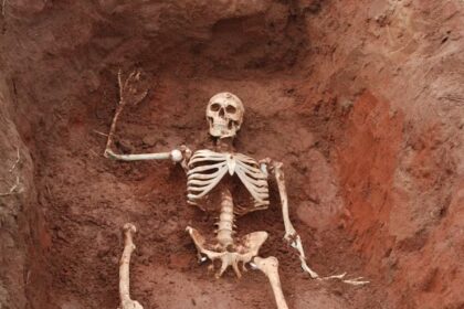 file 20231116 19 cvoupi