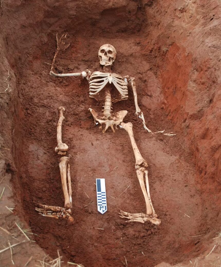 Human skeletal remains discovered in open field at Cansaulim 1 file 20231116 19 cvoupi