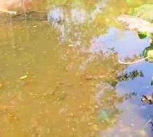 Morjim Beach Sewage Trench Falls Under Tourism Department Jurisdiction: Sarpanch 1 image 30