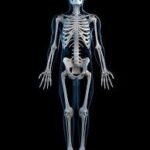 images 53