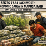 20260223 0944 Hydroponic Ganja Seizure simple compose 01kj4b7p6fe2d8sb2khxq86mqp