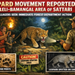 20260228 1135 Leopard Spotted in Sattari simple compose 01kjhdkt38ejfs34k5hffndedc
