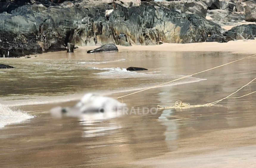 19-Year-Old Ankola Student Drowns at Polem Beach; Body Recovered After Joint Search 1 45 TEMPLATE 2026 02 22T121457.736 e1771742723637