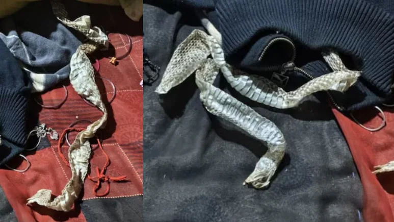 Mystery deepens after Auraiya woman disappears from locked room, snake skin discovery sparks rumours 1