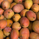 Mankurad Mango Goa TravellersofIndia