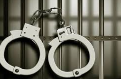 Panjim Police Arrest Woman for House-Breaking, Theft of Cash and Gold Worth Over ₹6.7 Lakh in Taleigao 1 Screenshot 2026 02 04 100751