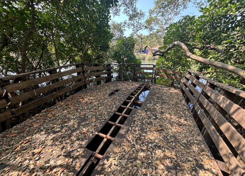 Mangrove Walking Park Near Patto Central Library Lies Abandoned, Access Blocked and Facilities Neglected 1 Screenshot 2026 02 04 134737