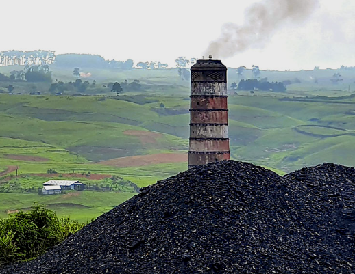 Suspected Dynamite Blast at Illegal Rat-Hole Coal Mine in Meghalaya Kills 25 Labourers 1 Screenshot 2026 02 07 095249