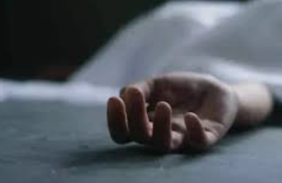 Pedestrian Killed in Four-Wheeler Accident Near Velsao Bridge; Driver Booked for Rash Driving 1 Screenshot 2026 02 09 095541