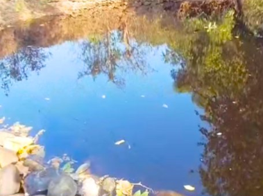Molasses Spill at Shristhal Industrial Estate Triggers Panic After Waste Enters Khalwadem Rivulet 1 Screenshot 2026 02 12 111243
