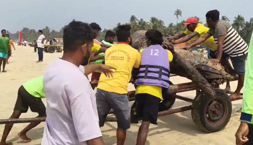Water Sports Operators Step In to Clear Wooden Debris from Colva Beach After Inaction by Authorities 1 Screenshot 2026 02 18 150440