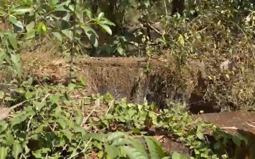 Neglected WRD Canal in Avedem, Quepem Leaves Farmers Without Water for 15 Years 1 Screenshot 2026 02 28 121724