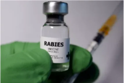 anti rabies vaccine 500x500 1