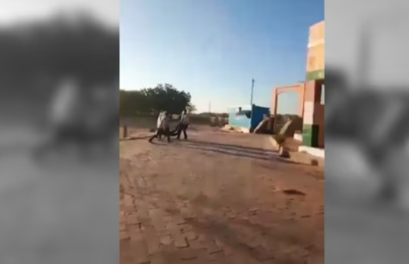 Rajasthan shocker as board examinee kidnapped and beaten 1 barmer 230450528