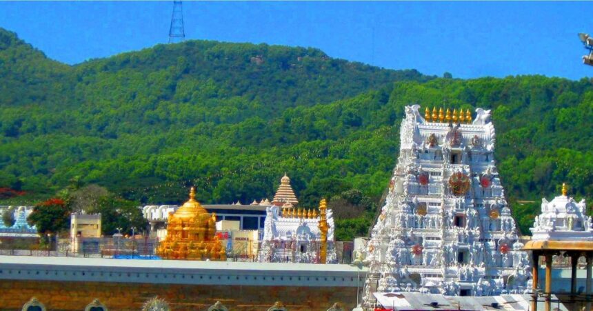 No Laddu Shortage at Tirumala, TTD Dismisses Viral Ghee Supply Rumours 1 3479478