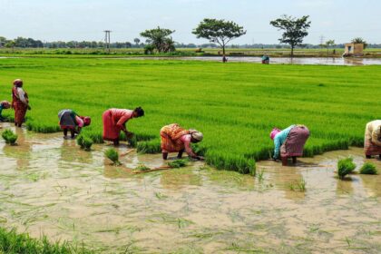 Agriculture