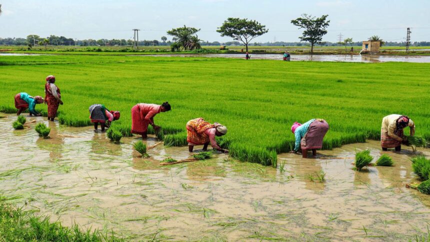 BIG PROMISES, BIGGER BORROWINGS 1 Agriculture