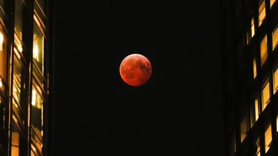 India to witness final phase of Blood Moon at moonrise 1 Lunar Eclipse 0 1772526958567 1772526969309