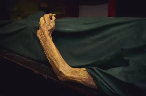 Father and 14-year-old son found dead inside Bicholim house 1 OIP 4