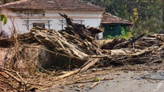 200-Year-Old Banyan Tree Partially Collapses at Siolim–Marna, Two Students Injured 1 Screenshot 2026 03 04 103744
