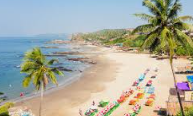 Activists caution against Goa becoming sex hub; oppn flags it in assembly 1 Screenshot 2026 03 13 084334