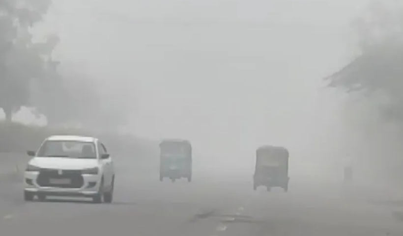 Delhi Shivers Under Dense Fog After Coldest March Day in 6 Years, No IMD Alert Issued 1 Screenshot 2026 03 21 092645
