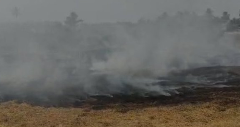 Major Fire Erupts in Taleigao Field, Traffic Diverted as Firefighting Operations Continue 1 Screenshot 2026 03 24 104004