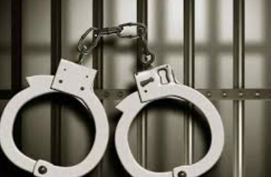 Quepem Police Seize 297g Suspected Ganja, Cash and Scooter; One Arrested 1 Screenshot 2026 03 25 153242