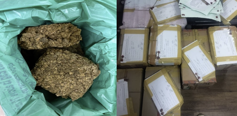 23kg Hydroponic Weed Seized Worth Rs 8.34 Crore Seized at Mopa Airport 1 Screenshot 2026 03 27 at 3.22.11 PM