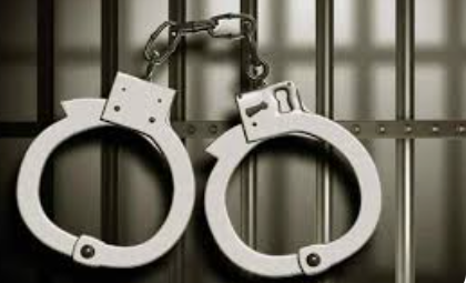 ₹8.34 Crore Hydroponic Cannabis Seized at Manohar International Airport; Five Held 1 Screenshot 2026 03 28 104501