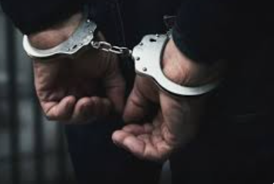 Anjuna Police Seize ₹25 Lakh Psilocybin Drugs in Siolim; French National Arrested 1 Screenshot 2026 03 28 110109