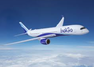 IndiGo suspends six routes from Goa 1 Screenshot 2026 03 30 084311