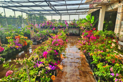 Shilpa Menses Garden