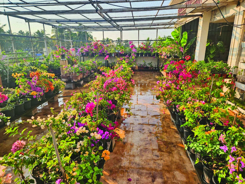 Shilpa Menses Garden