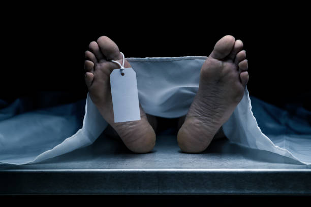 Decomposed Body of Unidentified Woman Found in Tilari Ghat 1 istockphoto 1281785132 612x612 1