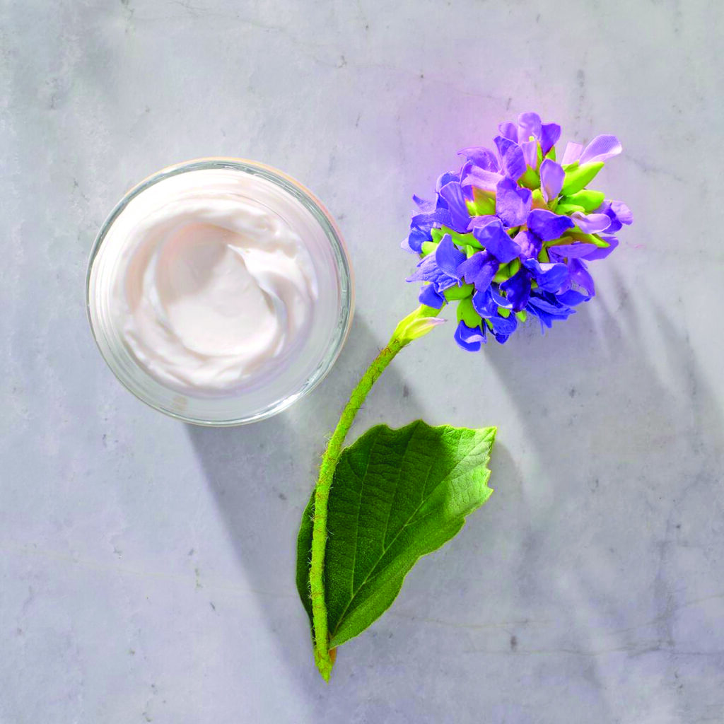 The new rules of skin and hair care 2 Bakuchiol