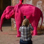 Im Julia 47 and I live in a world of pink elephants.Honestly it was probably worth coming to
