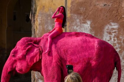 Im Julia 47 and I live in a world of pink elephants.Honestly it was probably worth coming to