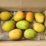 Mangoes in Bangalore 2025 19 1